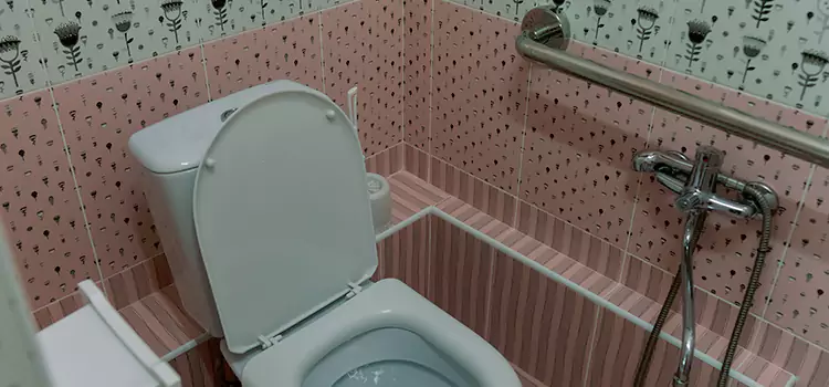 Meeting Diverse Needs With Accessible Restroom Solutions in Lafayette, CA